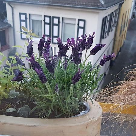 Haus Alfina Βίλα Εξωτερικό φωτογραφία