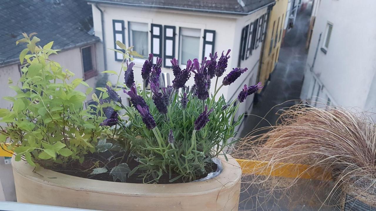 Haus Alfina Βίλα Εξωτερικό φωτογραφία